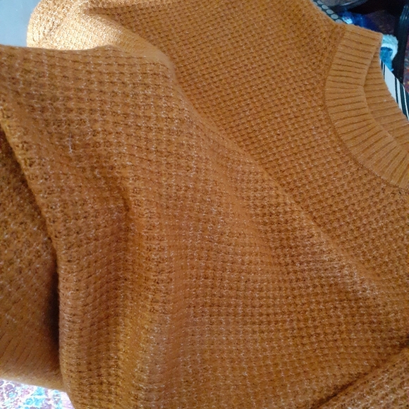 Sweater - Picture 6 of 6